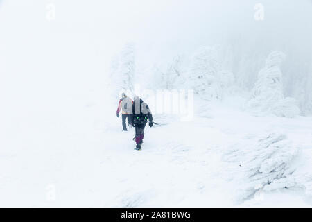 Tourists with backpacks walking through snow-covered mountain meadow in blizzard. Stock Photo