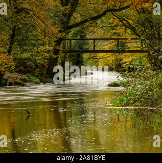 Teign Gorge, Drewsteignton, Devon. 5th November 2019. UK Weather: The River Teign runs fast under the Iron Bridge at Caslte Drogo following recent heavy rainfall across the South West. Credit: Celia McMahon/Alamy Live News. Stock Photo