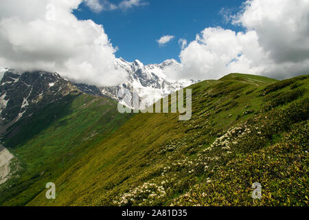 Summer mountain landscape. View from the Chkhutnieri pass with flowering rhododendrons and snow-capped Causasus peaks in the background. Georgia. Stock Photo