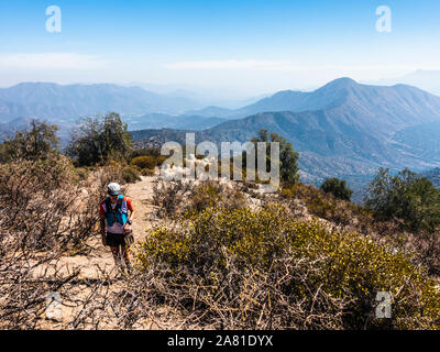 Female hiker making her way up the coastal mountains of central Chile. Stock Photo