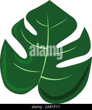 Tropical leaf vector illustration on white background Stock Vector ...