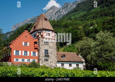Red medieval house with stepped gable and adjoining residential tower and vineyard in front of it, in the background a hill with dense green forests. Stock Photo