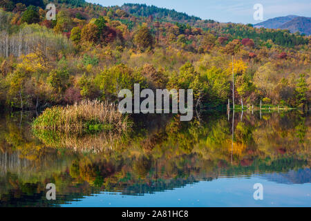 View of a colorful autumn forest at sunny day reflected in the calm waters of the river, Iskar River, Bulgaria. Stock Photo