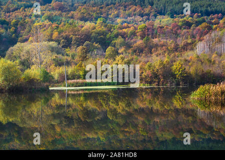 View of a colorful autumn forest at sunny day reflected in the calm waters of the river, the gorge of the Iskar River, Bulgaria. Stock Photo