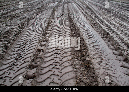 After the harvest, tire tracks of heavy machinery in mud Stock Photo