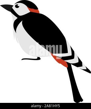 Woodpecker, illustration, vector on white background. Stock Vector