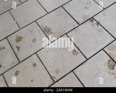 Close up of a pavement made of grey square stone slabs with a small number of autumn leaves scattered on top and wet footprints left by a boot Stock Photo