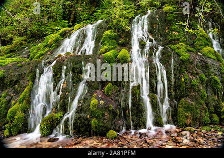 Beautiful waterfall, river Raca, spring Ladjevac, rocks covered with dense green moss, fresh water, and air on Mount Tari, on the footpath Stock Photo