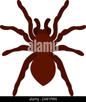 Tarantula, illustration, vector on white background. Stock Vector