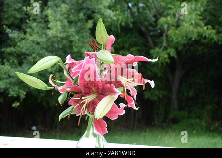 Bouquet de lys Miss Feya Stock Photo