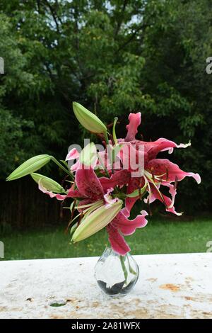 Bouquet de lys Miss Feya Stock Photo