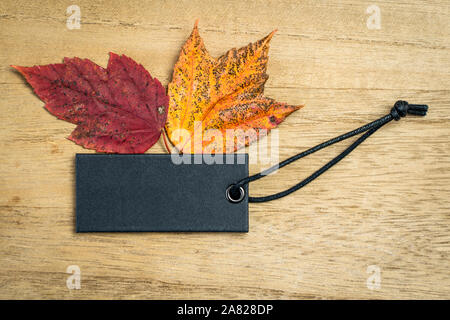Autumn blank black label with maple leaves Stock Photo
