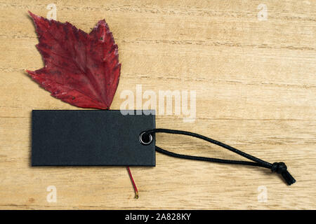 Autumn blank black label with maple leaves Stock Photo