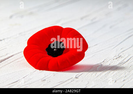 Remembrance Day Poppy Flower with a shadow Stock Photo