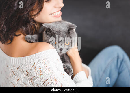close up of woman with grey scottish fold cat Stock Photo