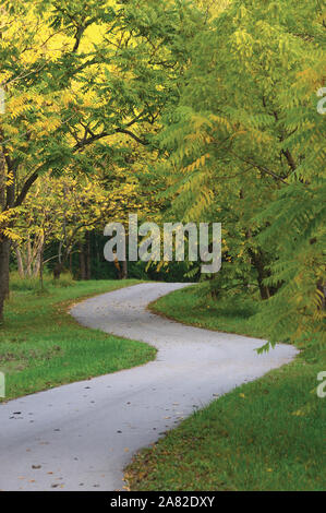 Walnut Trees In Autumnal Park, Large Detailed Vertical Landscaped Autumn Path Scene, Twisting Tarmac Walkway, Winding Asphalt Road Zigzag Perspective Stock Photo