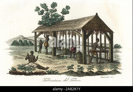 Slaves harvesting and drying tobacco leaves on a plantation in Virginia, 18th century.  Handcoloured copperplate engraving by Sasso from Giulio Ferrario's Ancient and Modern Costumes of all the Peoples of the World, Florence, Italy, 1837. Stock Photo