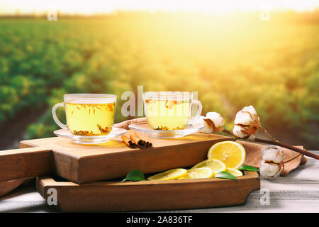 Cups of hot tea with lemon and spices on table in green field Stock Photo
