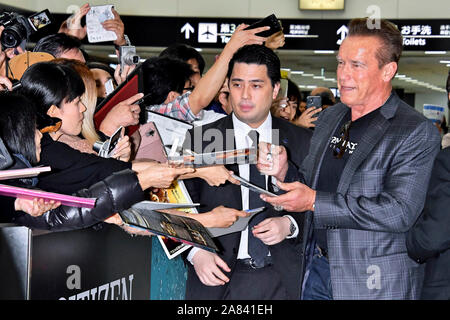 Narita, Japan. 04th Nov, 2019. Arnold Schwarzenegger on arrival at Tokyo Narita Airport. Narita, 04.11.2019 | usage worldwide Credit: dpa/Alamy Live News Stock Photo