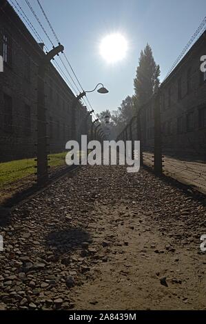 Concrete electric posts with barb wire in Auschwitz concentracion camp Stock Photo