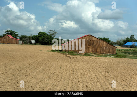 A tobacco leaf drying shed on a tobacco-producing farm in the Valle de Vinales, a UNESCO world cultural landscape in Pinar del Río Province, west Cuba Stock Photo