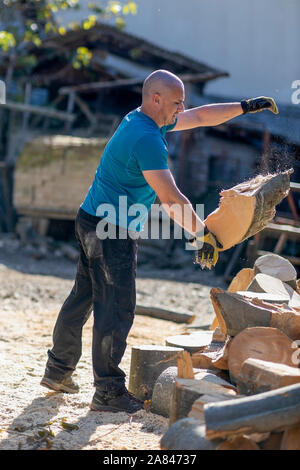 Strong lumberjack carrying a big beech log to split Stock Photo