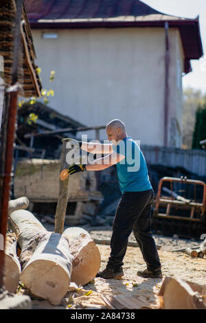 Strong lumberjack carrying a big beech log to split Stock Photo