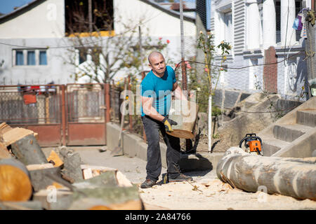 Strong lumberjack carrying a big beech log to split Stock Photo