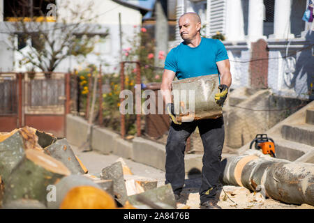 Strong lumberjack carrying a big beech log to split Stock Photo