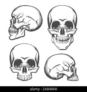 Set of Human Skull  in Front and Side View. Vector illustration. Stock Vector