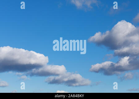 White, fluffy cloud float along the skyline over a blue sky on a clear day. Background from clouds. Stock Photo
