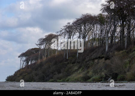 a walk in the woods the ghost on the shore a walk in the woods the ghost on the shore