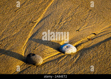 Rivulets of water from a receding wave leave patterns in the sand of a beach. Stock Photo
