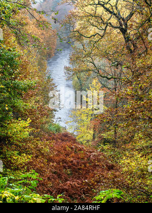 Autumn colours from Harrisons Ford Seat in Strid Wood Bolton Abbey Yorkshire Dales England Stock Photo