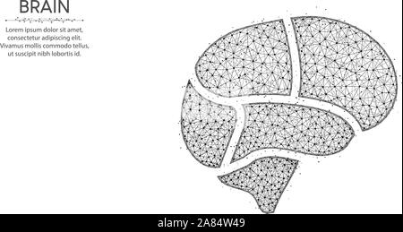 Brain areas low poly design, human organ abstract geometric art, medical wireframe mesh polygonal vector illustration made from points and lines on wh Stock Vector