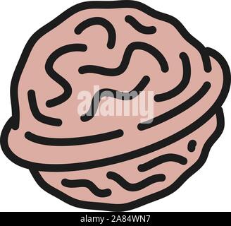 Vector walnut flat color icon. Isolated on white background Stock Vector