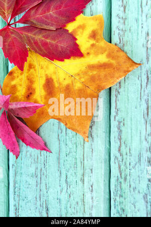 Autumn leaves against wooden background Stock Photo