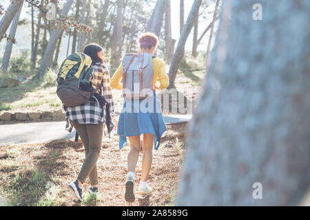 Young women friends with backpacks hiking in sunny woods Stock Photo