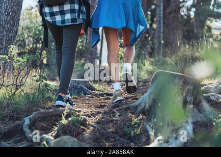 Female hikers on trail in woods Stock Photo