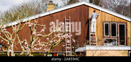 Male painter on ladder painting home exterior trim Stock Photo