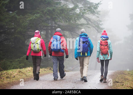 Family with backpacks hiking in rainy woods Stock Photo