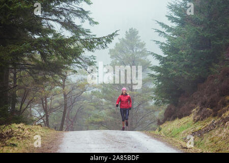 Woman hiking on trail in wet woods Stock Photo