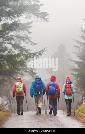 Family with backpacks hiking on trail in rainy woods Stock Photo