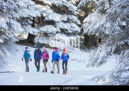 Family hiking on trail in snowy woods Stock Photo
