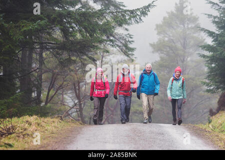 Family hiking on trail in wet, remote woods Stock Photo