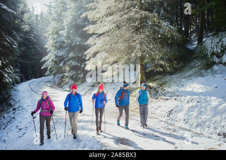 Family hiking in sunny, snowy remote woods Stock Photo