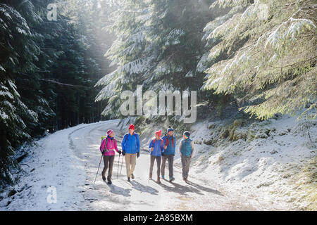 Family hiking on trail in sunny, remote snowy woods Stock Photo