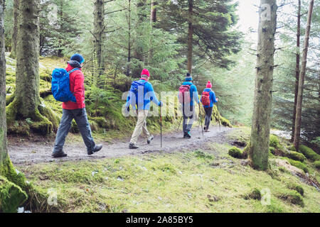 Family hiking on remote trail in woods Stock Photo