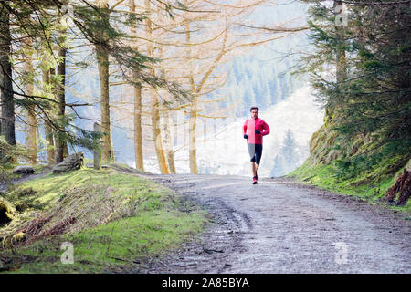 Man jogging on trail in remote woods Stock Photo