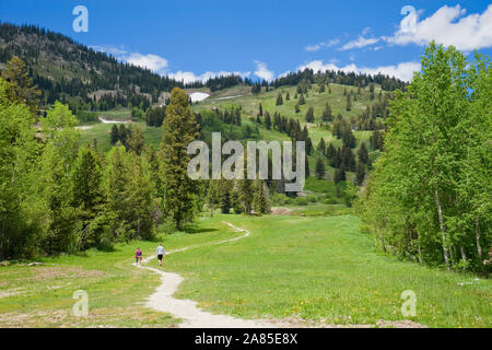 A couple hiking at Jackson Hole Mountain Resort in the summer Stock Photo